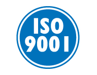 ISO 9001 Quality Management System 1989